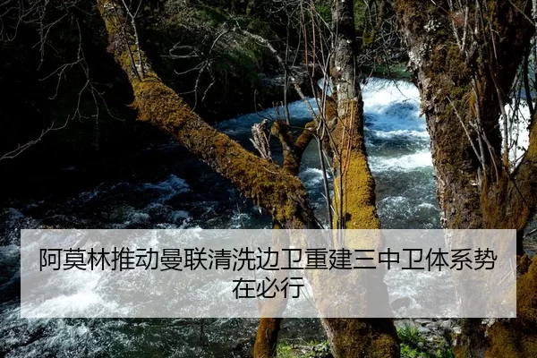 阿莫林推动曼联清洗边卫重建三中卫体系势在必行
