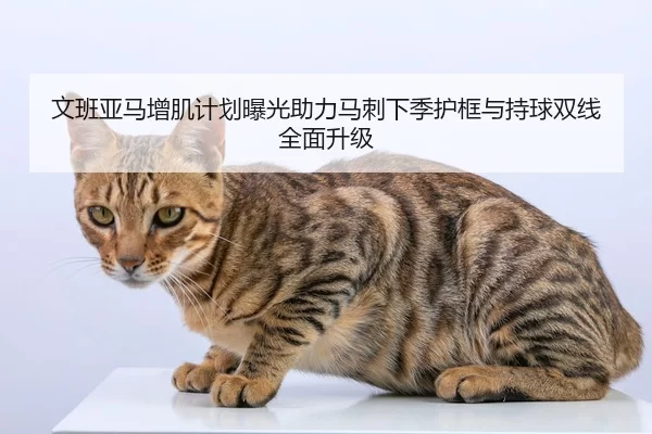 文班亚马增肌计划曝光助力马刺下季护框与持球双线全面升级 - jiuyou